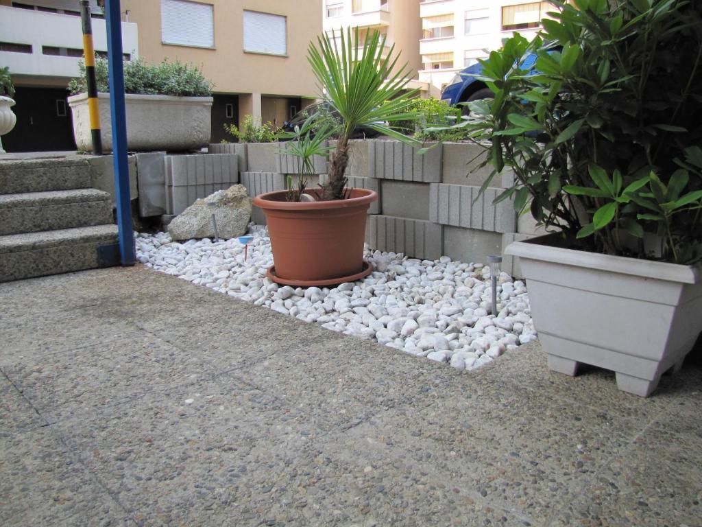 Residence Tell Chiasso Buitenkant foto